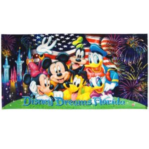 Disney Dreams Florida Firework Castle